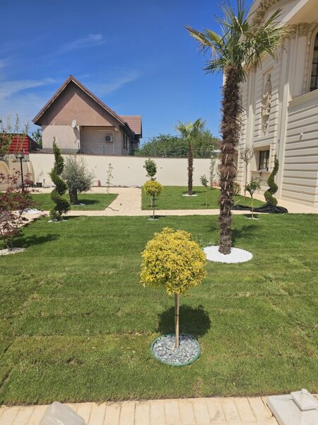 Firma amenajari gradini.